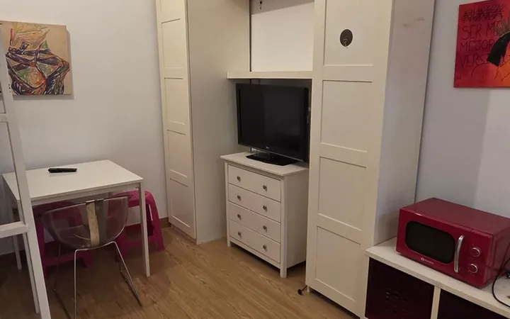 Estudio en Calle de Argumosa, 14, Lavapiés-Embajadores - Foto 1