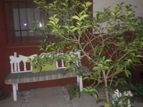 Piso en calle Siglo Futuro, 7 - Foto 23