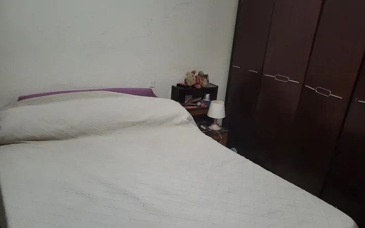 Piso en Calle de Fernando el Católico, 10, Arapiles - Foto 1
