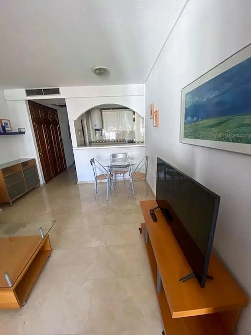 Estudio en Calle de Narváez, 70, Ibiza - Foto 6