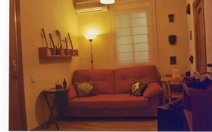 Estudio en Calle del Duque de Alba, 11, Lavapiés-Embajadores - Foto 1