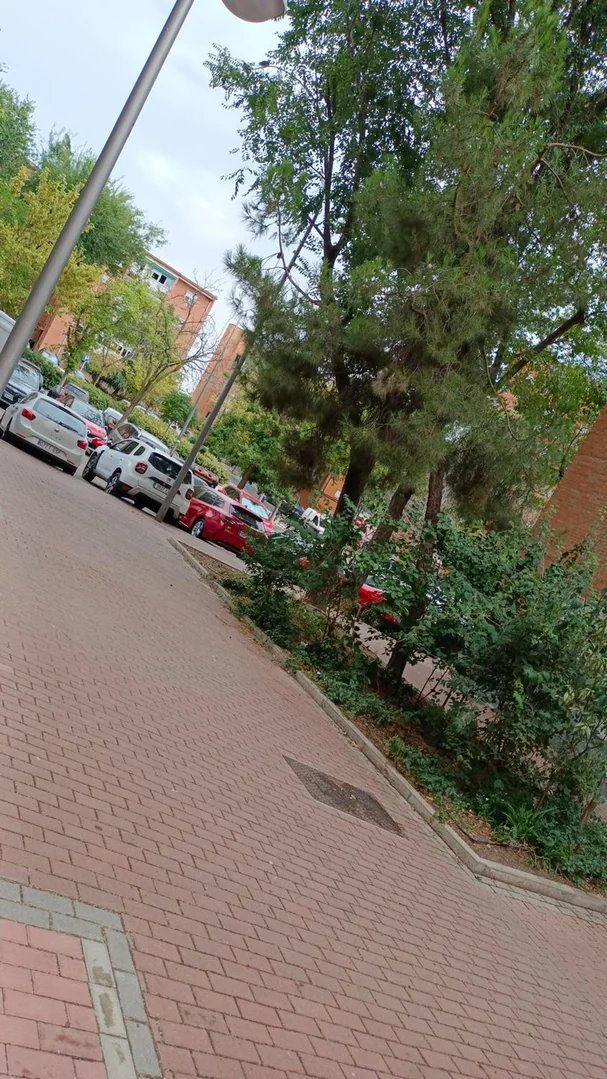 Piso en Calle de Villalobos, 91, Palomeras sureste - Foto 28
