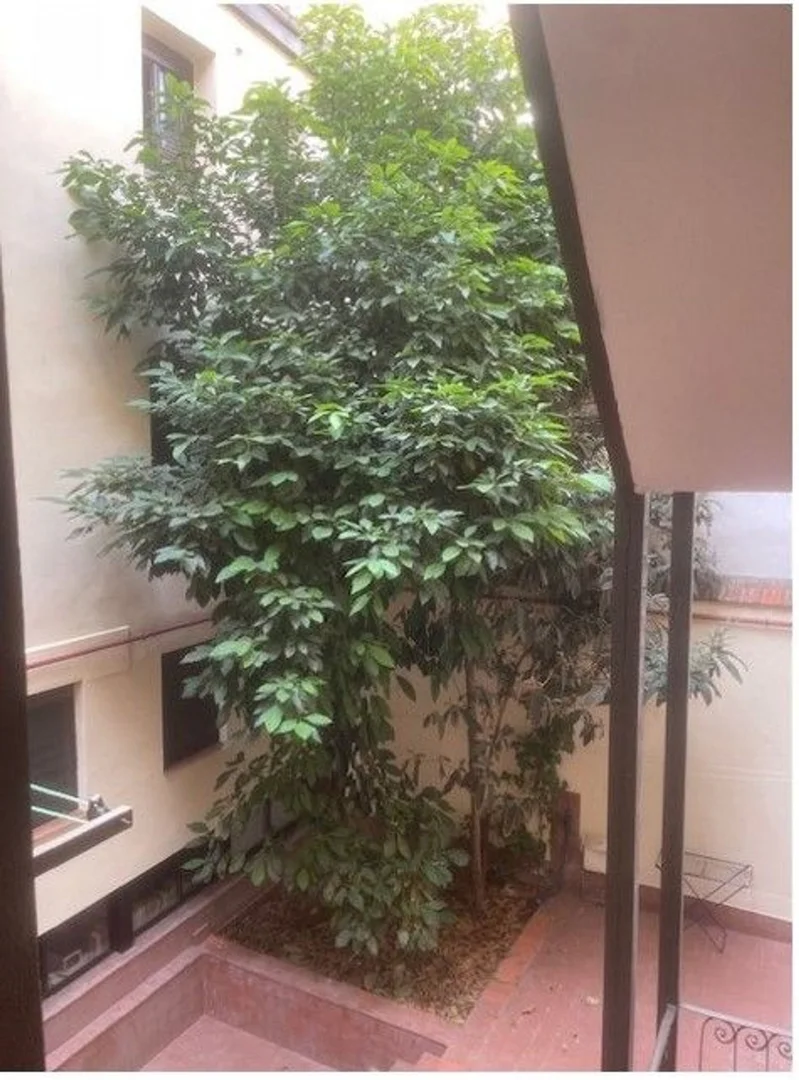 Piso en plaza de Olavide, 10 - Foto 1