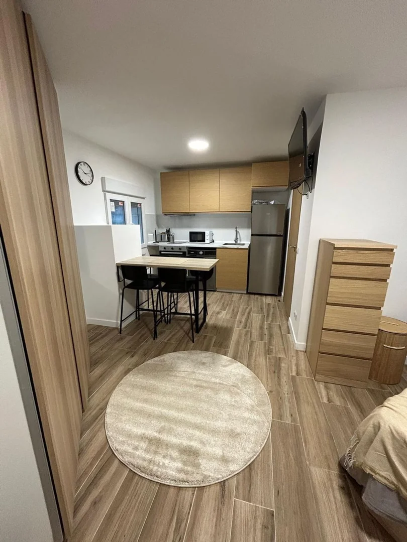 Estudio en Calle Castalia de Vallecas, 7, Numancia - Foto 3