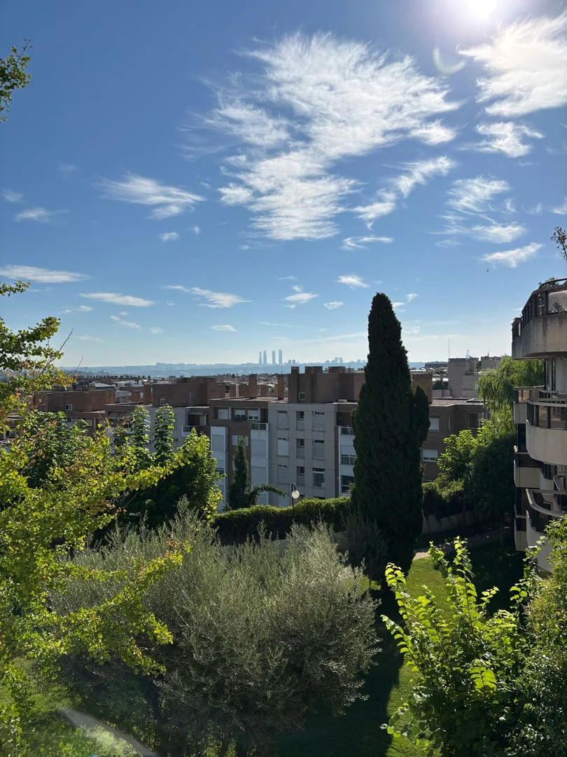 Piso en Avenida de Europa, 32, Aravaca - Foto 9