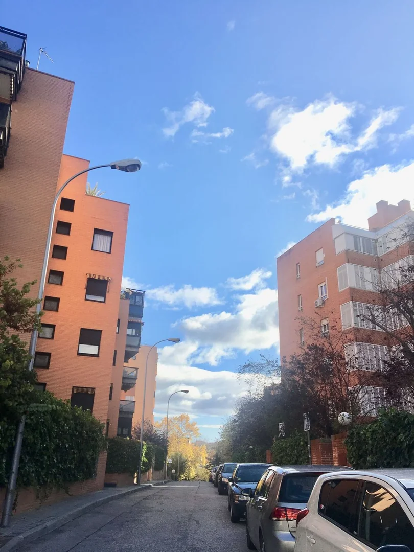 Piso en Calle del Valle de Bergantiños, 5, Valdezarza - Foto 30