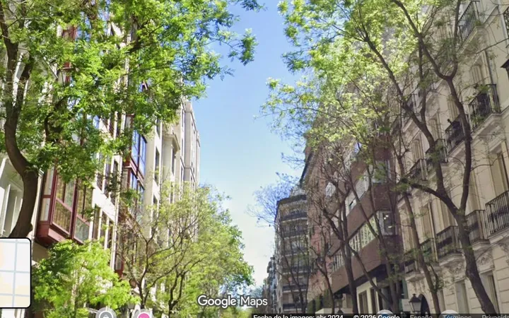 Piso en Calle de Hermosilla, 28, Recoletos - Foto 2