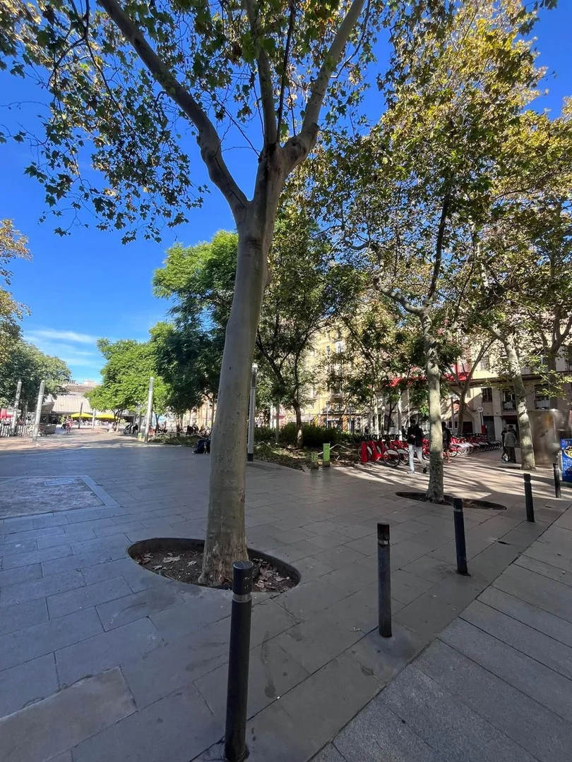 Piso en Calle de Sant Carles, 16, La Barceloneta - Foto 34