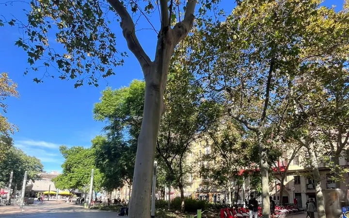 Piso en Calle de Sant Carles, 16, La Barceloneta - Foto 34