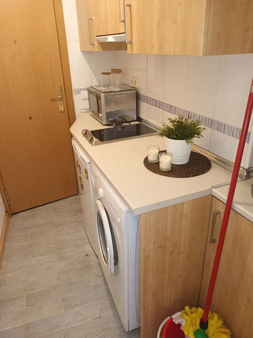 Estudio en Calle de los Jardines, 25, Sol - Foto 9