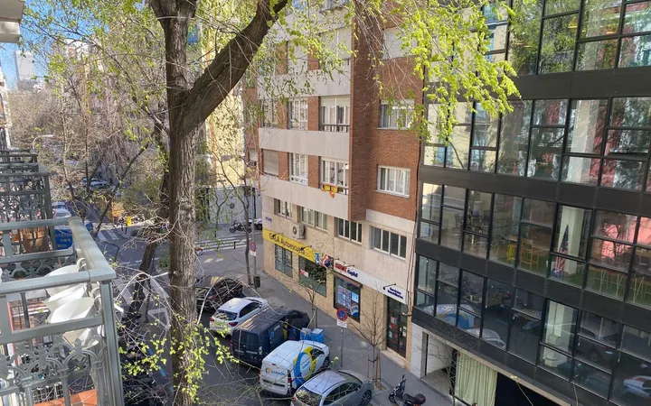 Piso en Calle de Fernández de la Hoz, Madrid, 37, Almagro - Foto 20
