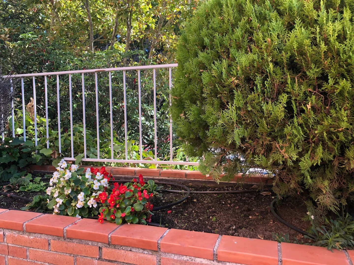 Piso en Calle de la Costa Brava, 30, Mirasierra - Foto 25