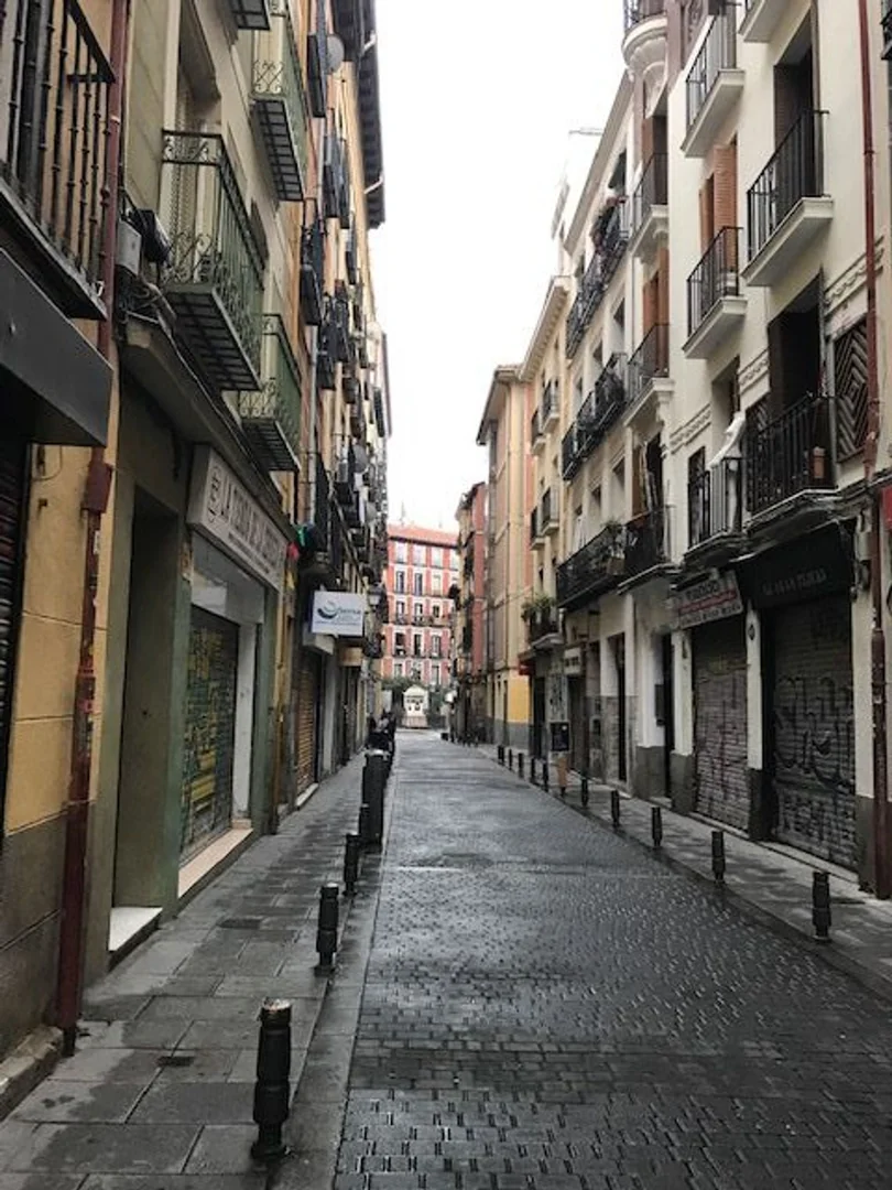 Piso en Lavapiés-Embajadores, Lavapiés-Embajadores - Foto 14