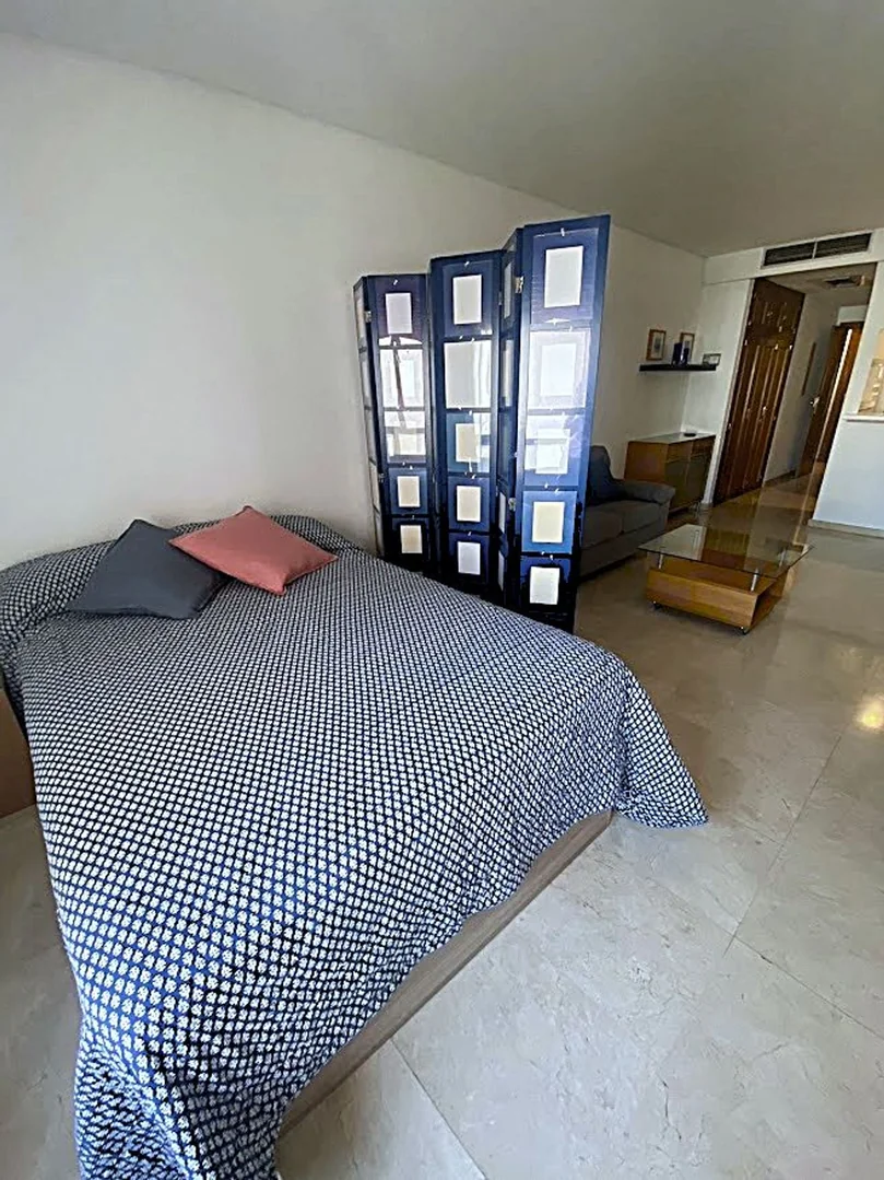 Estudio en Calle de Narváez, 70, Ibiza - Foto 11