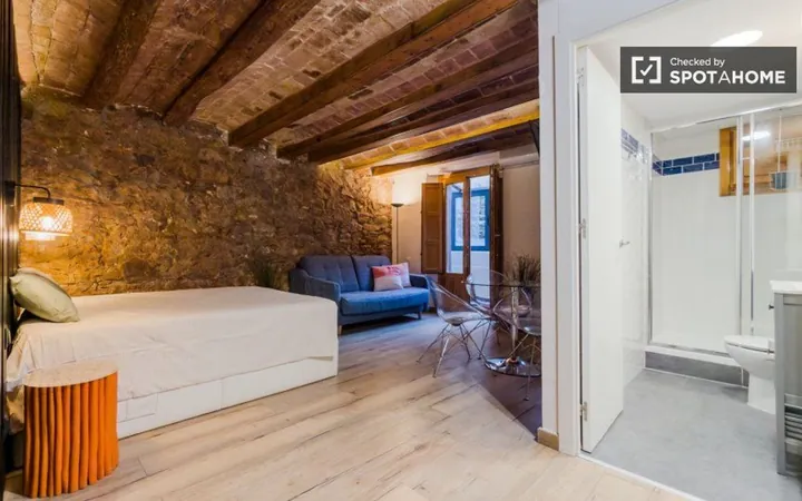 Estudio en Calle de la Riera Alta, El Raval - Foto 11