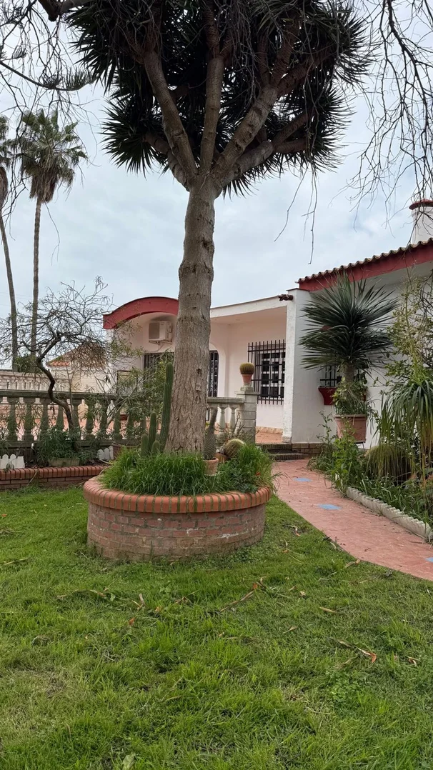Casa o chalet independiente en Pago Copina s/n - Foto 38