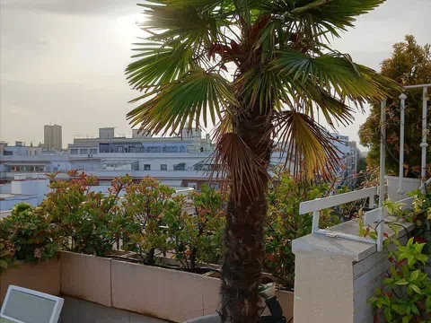 Ático en paseo Marqués de Zafra, 5 - Foto 4