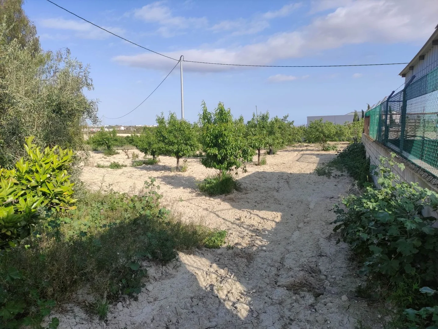 Finca rústica en casa rústica e Paraje Los Urreas 51 Losurreas, Murcia, 51 - Foto 25