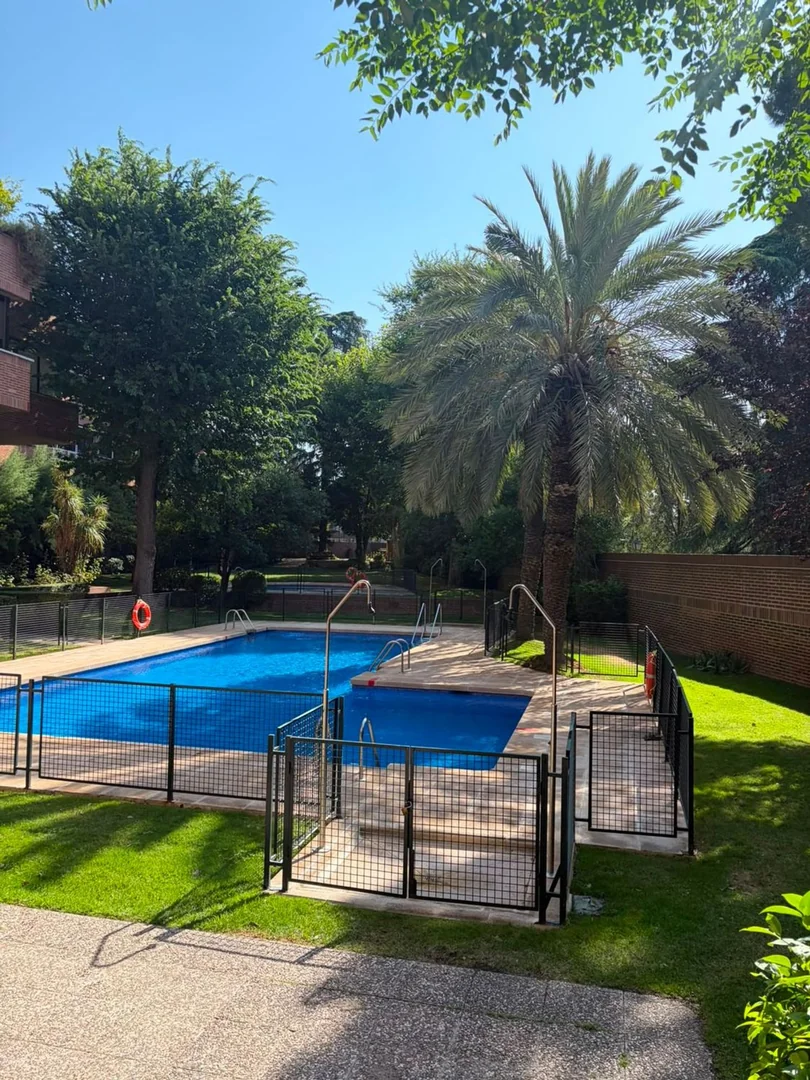 Piso en Menendez Pelayo, Niño Jesús - Foto 7
