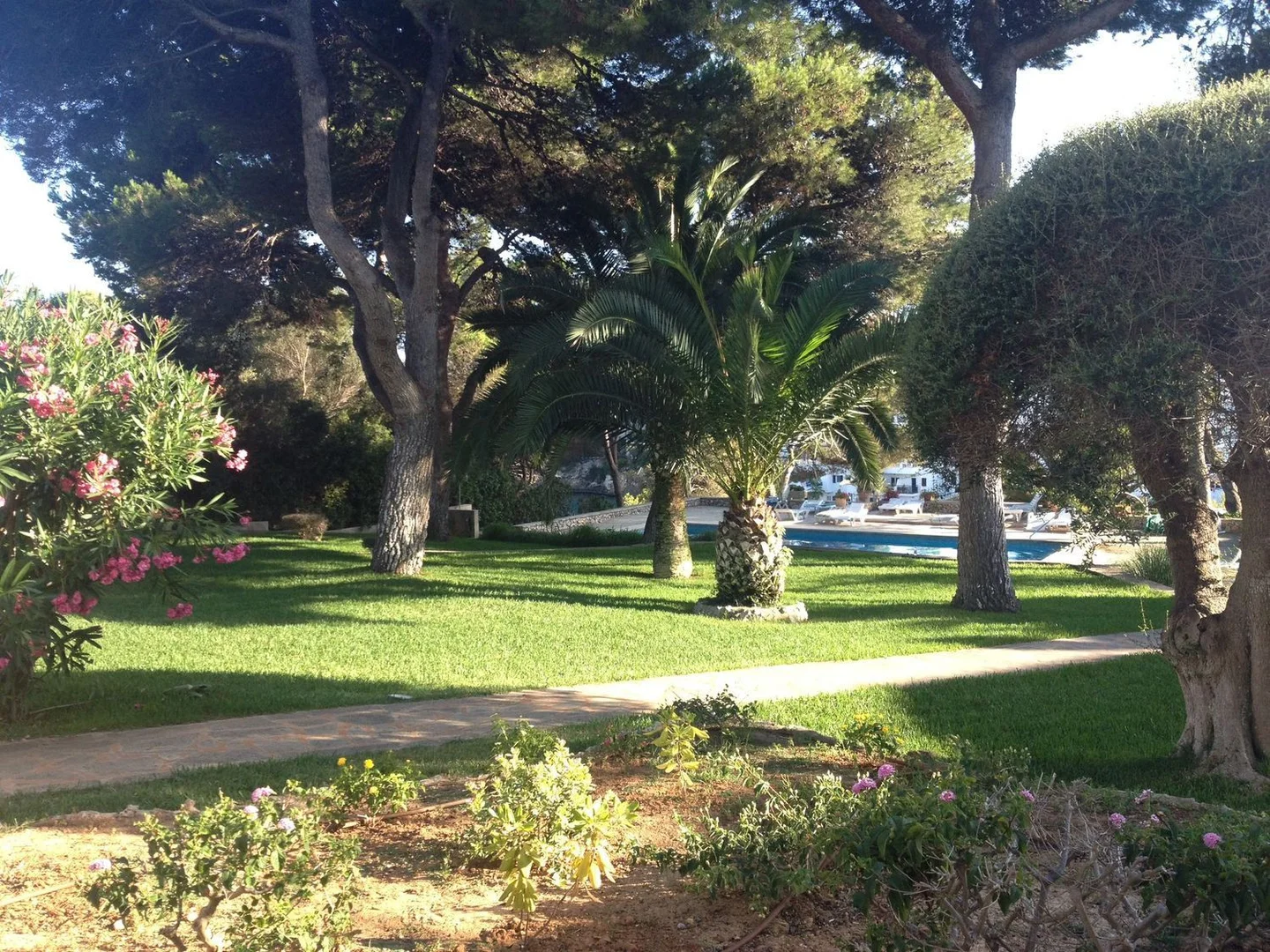 Estudio en Avenida Cala d'Or, 21, Cala d'Or, Cala d'Or - Foto 13