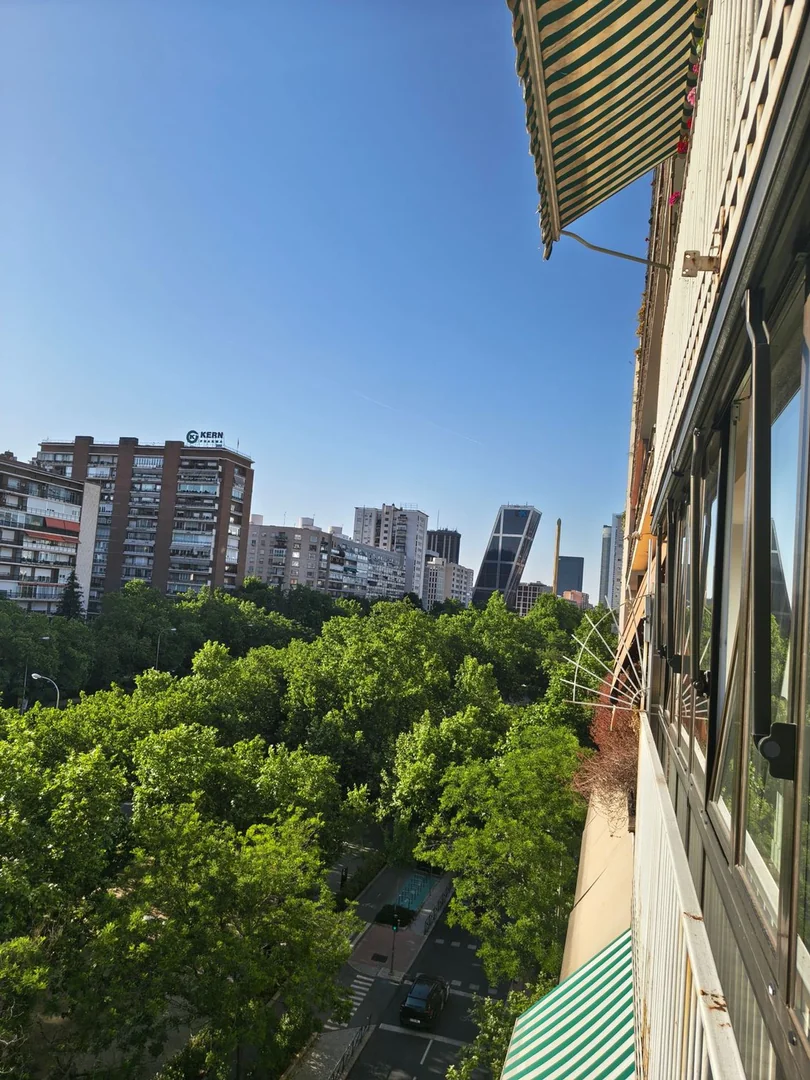 Piso en Paseo de la Castellana, 172 - Foto 19