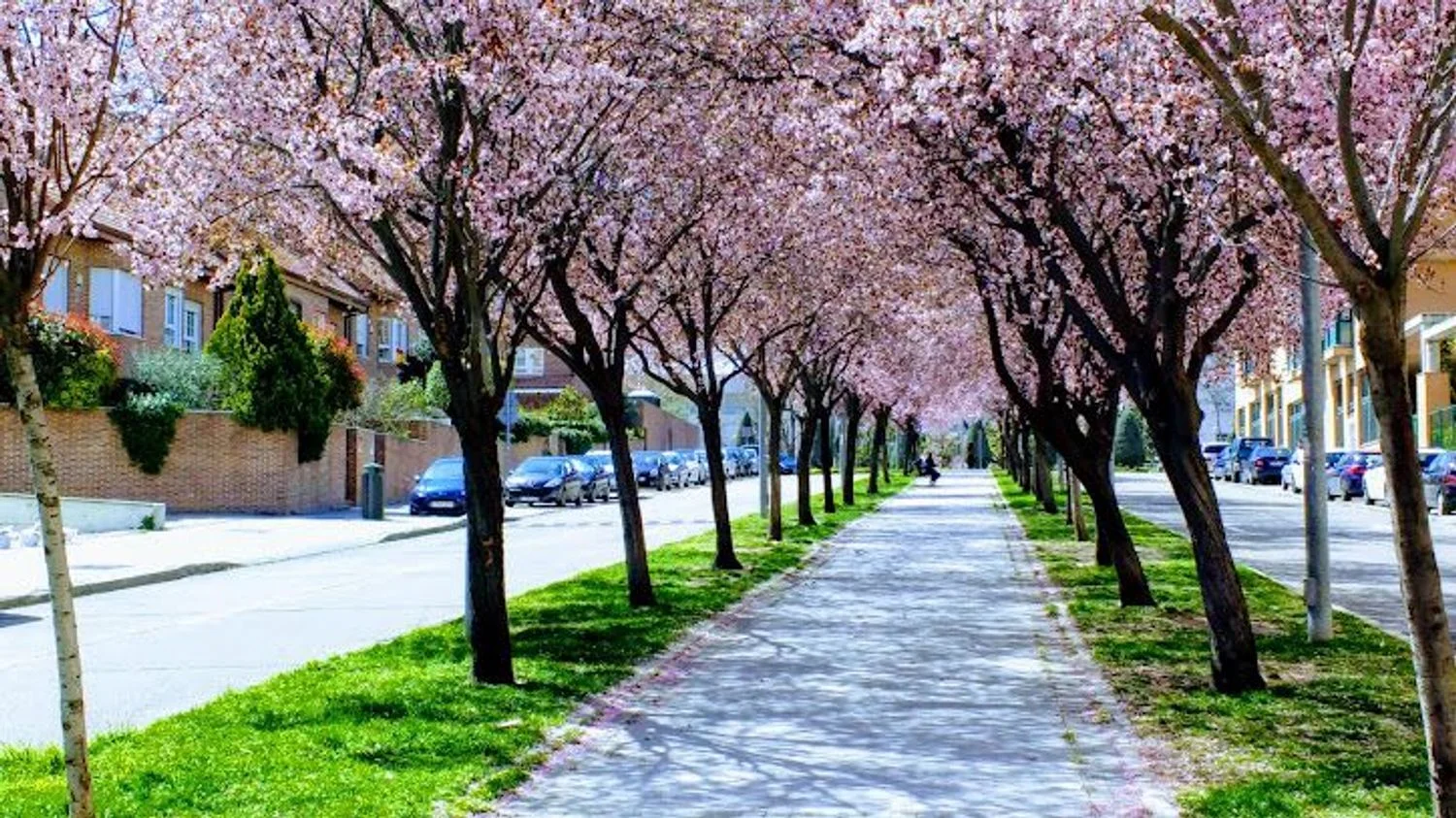 Chalet adosado en Barrio Palomas - Foto 2