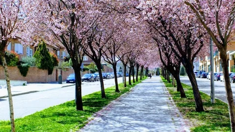 Chalet adosado en Barrio Palomas - Foto 2