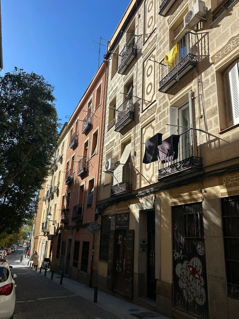 Piso en Calle de Mira el Sol, 12, Lavapiés-Embajadores - Foto 36
