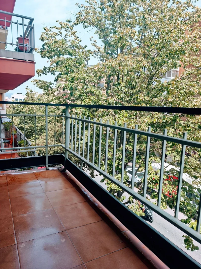 Estudio en Avenida de la Mare de Déu de Montserrat, 202, El Guinardó - Foto 2