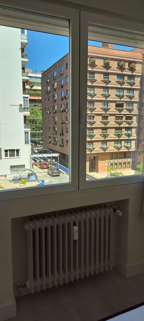 Piso en Calle Rafael Calvo, 31, Almagro - Foto 6