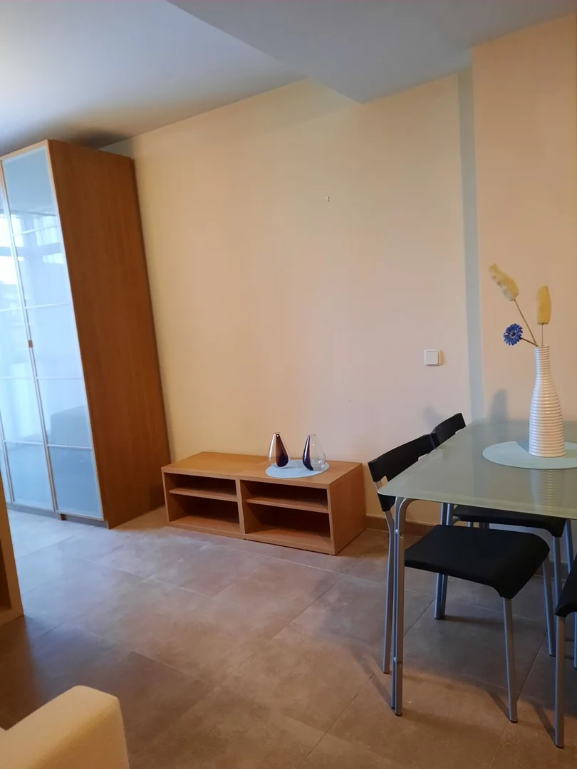 Estudio en Calle del Sauco, 8, Berruguete - Foto 10