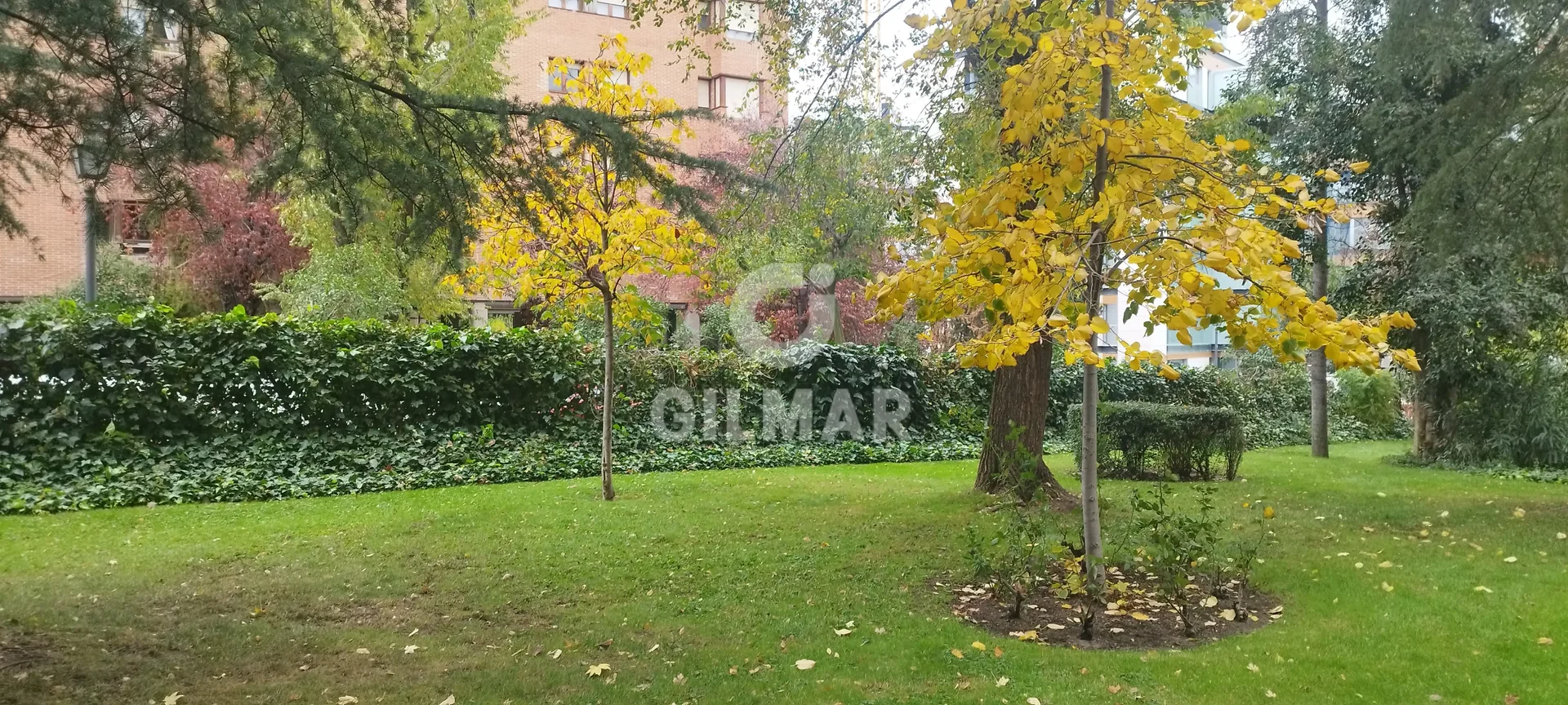 Bajo en Mirasierra, Madrid - Foto 37