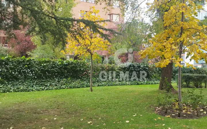 Bajo en Mirasierra, Madrid - Foto 37