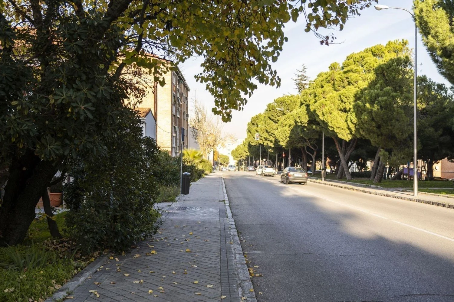 Piso en Calle de Purchena, 10, Apóstol Santiago - Foto 4
