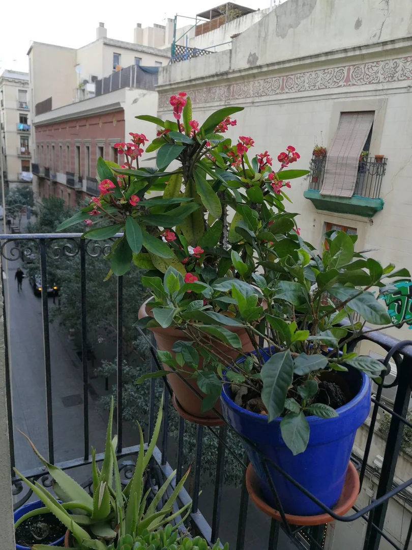 Piso en calle Carmen, 80 - Foto 9