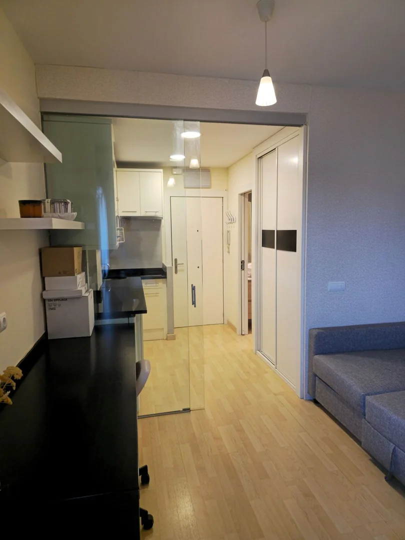 Estudio en Calle de Ayala, 30, Recoletos - Foto 11