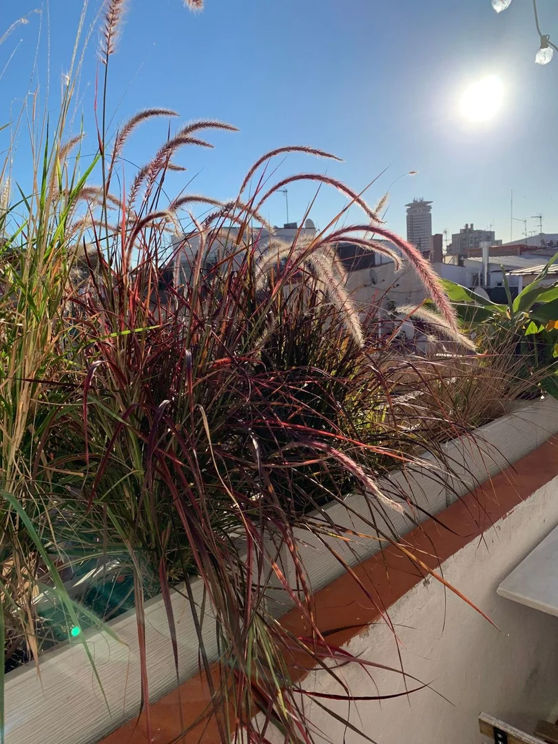 Ático en calle de les Carretes, 44 - Foto 11