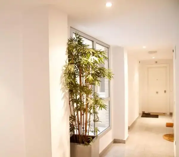 Estudio en calle Calle de Felipe Campos 10 - Foto 4