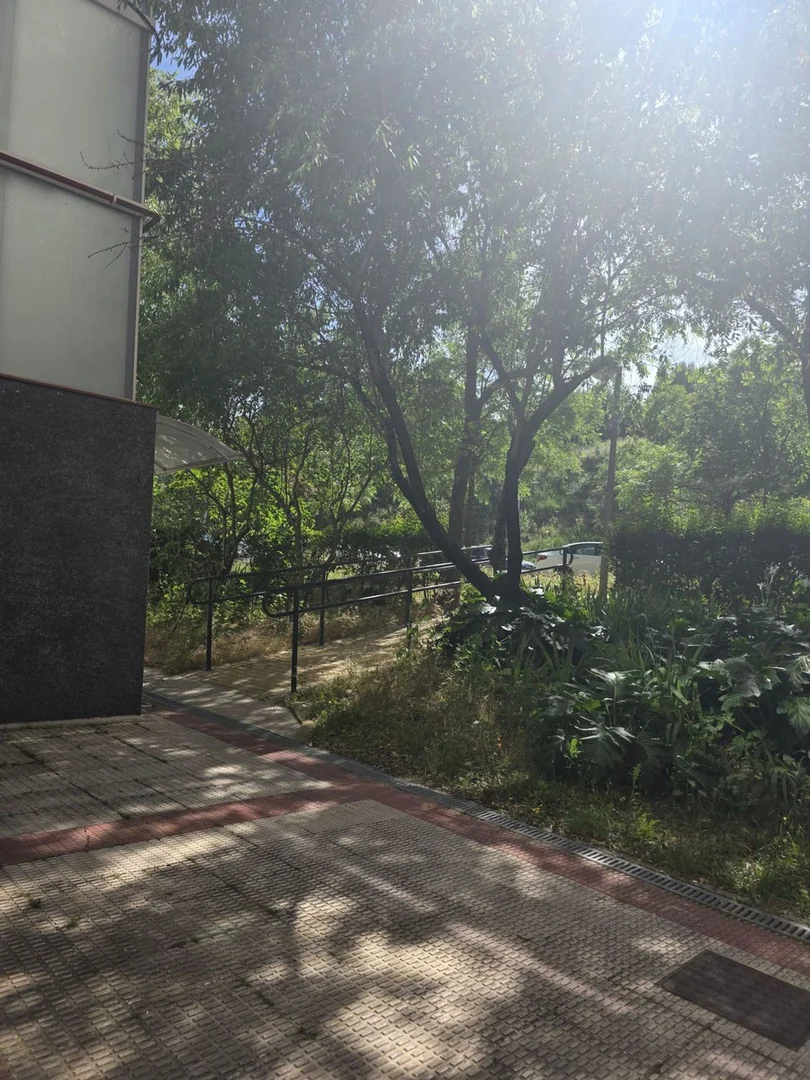 Piso en Quinta (c Pegaso), Rejas - Foto 17