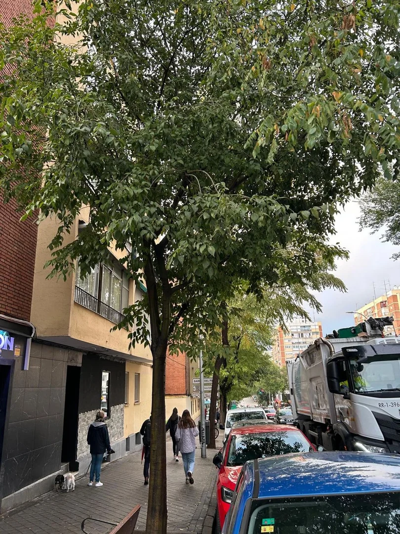 Piso en calle de Ponferrada, 32 - Foto 3