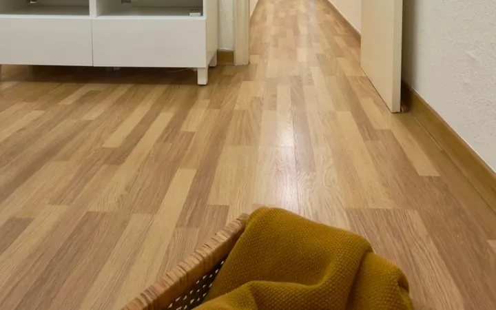 Piso en Calle mare de deu de les neus, 35, Vilapicina i la Torre Llobeta - Foto 5