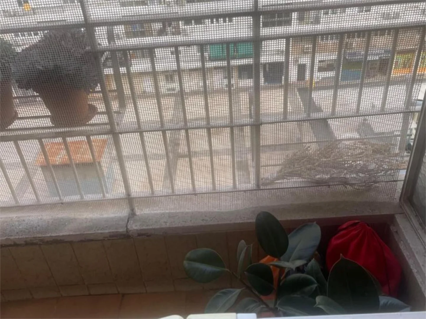 Piso en  Avenida Donostiarra 9 - Foto 17