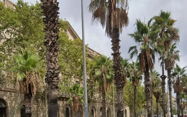 Piso en Sant Pere - Santa Caterina i la Ribera - Foto 27