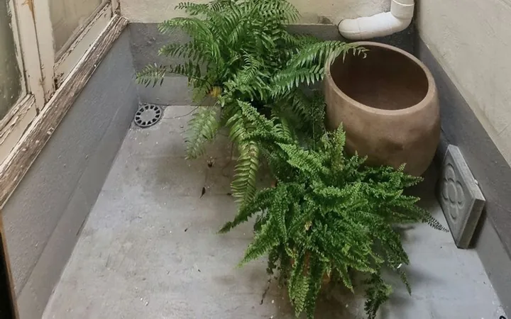 Piso en Calle de Pau Alsina, 12, El Camp d'En Grassot i Gràcia Nova - Foto 8
