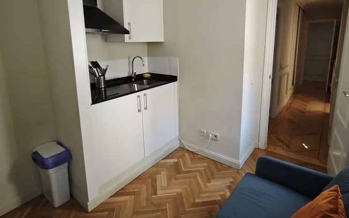 Piso en Paseo del Pintor Rosales, 26, Argüelles - Foto 1