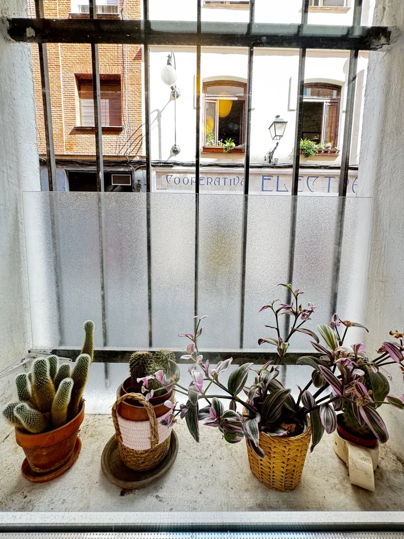 Piso en Calle del Amparo, 78, Lavapiés-Embajadores - Foto 6