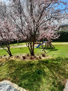 Dúplex en carretera de Vicálvaro a la Estación de O'donnell, 2 - Foto 18