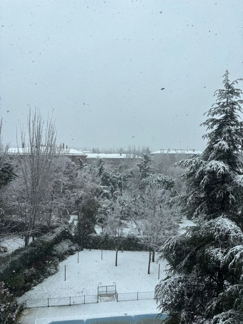 Piso en Barrio Mirasierra - Foto 7