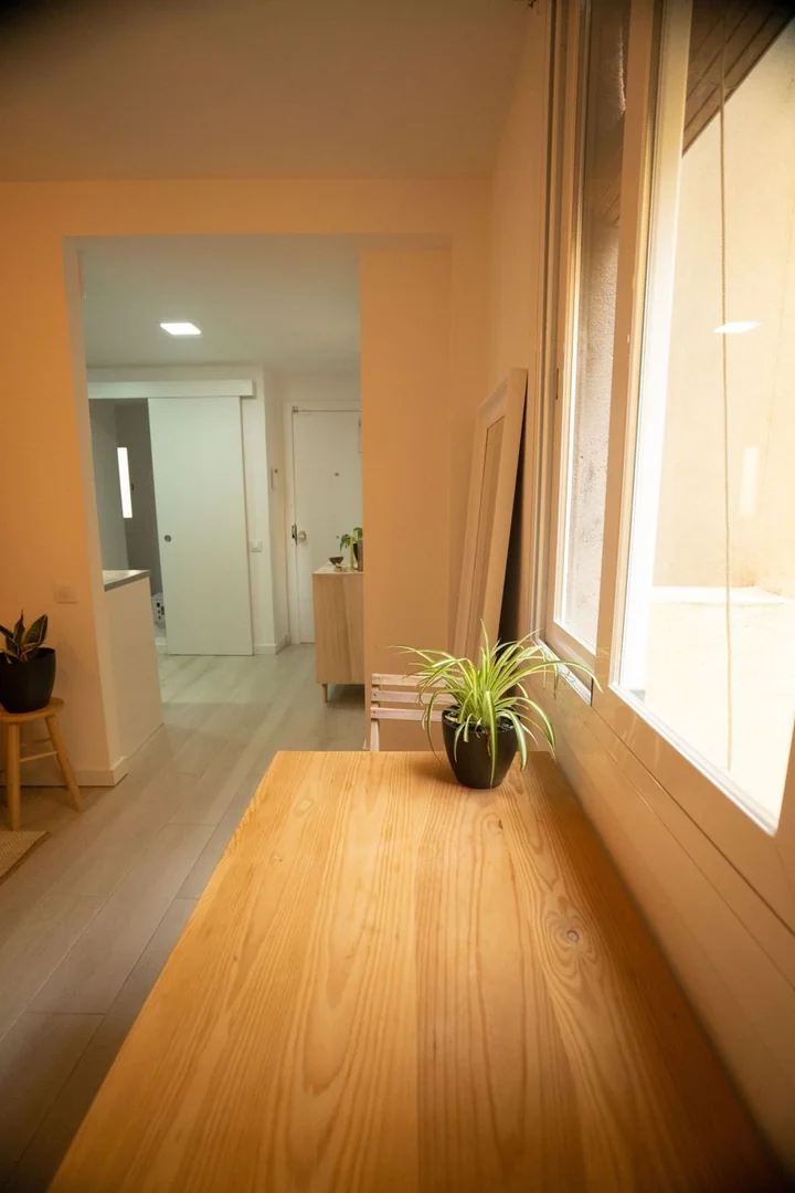 Piso en Calle de Picalquers, 3 Bis, El Raval - Foto 4