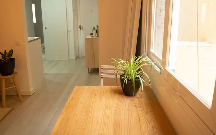 Piso en Calle de Picalquers, 3 Bis, El Raval - Foto 4